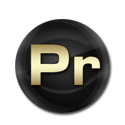Premiere Black and Gold