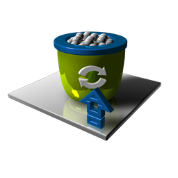 Recycle Bin Clean