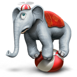 Circus Elephant