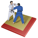 Judo