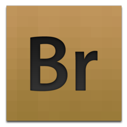 Bridge CS4