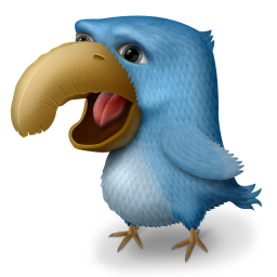 Angor Bird