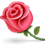 Flower emoticon