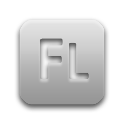 Flash