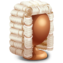 Judge
