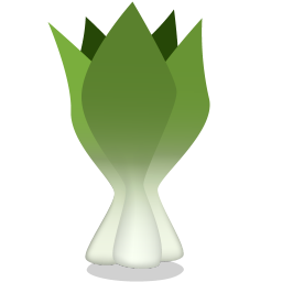 Bok Choy