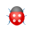 Bug