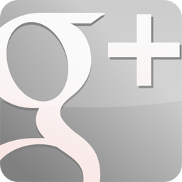 GooglePlus Gloss Grey