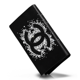 Chanel Black Bag