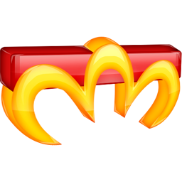 MS Word
