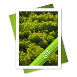 GIF File