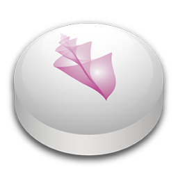 Adobe Bridge puck