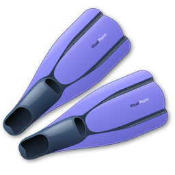Flippers