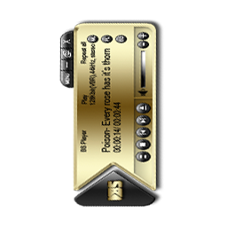 BS Player Black and Gold