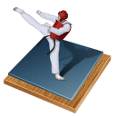 Taekwondo