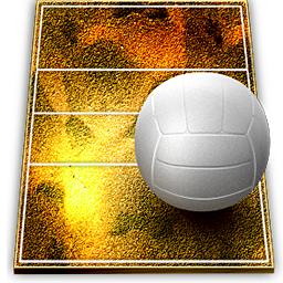Volleyball Court