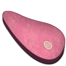 Sliced Ham