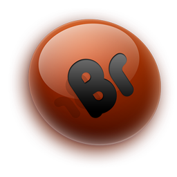 Bridge CS4