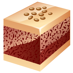 Nuts Cake