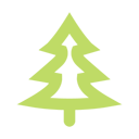 Green Tree Conifer
