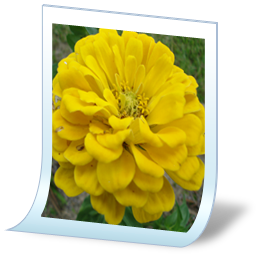 Image Format Jpg
