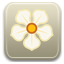 Magnolia logo