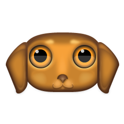 Dachshund