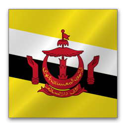 Bhutan flag
