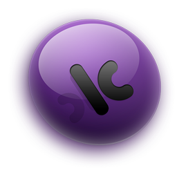 Incopy CS4