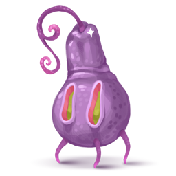 PearTwo