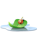 Pool leaf