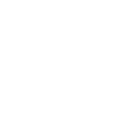 Metro Sattelite