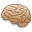 Brain