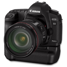 Canon 5D side bg