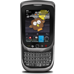 Blackberry Torch