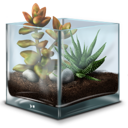 Succulent Terrarium