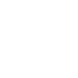 Metro Video Rec