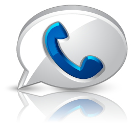 Google Voice high detail