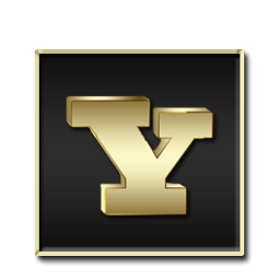 Yahoo Black and Gold