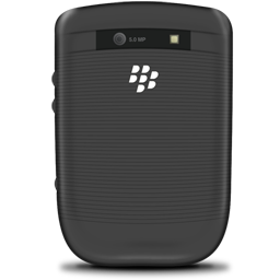 Blackberry Torch back