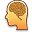 Brain Trainer