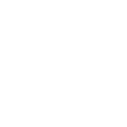 Metro Word