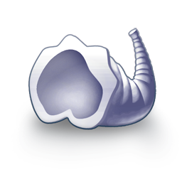 Shell