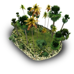 Tropical Stone