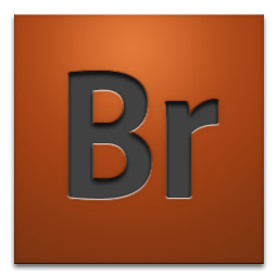 Adobe Bridge CS4