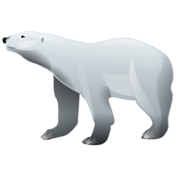 Polar bear