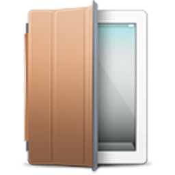 iPad 2 White brown cover