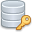 Database Key