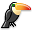 Toucan