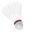 Badminton Shuttlecock